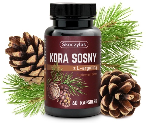 Skoczylas Kora sosny z L-argininą 60 kapsułek Skoczylas Kora sosny z L-argininą 60 kapsułek