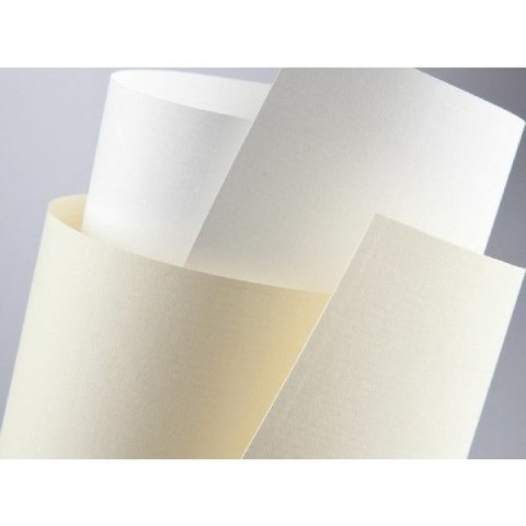 KARTON OZDOBNY A4/230g SKÓRA KREMOWY (20) Galeria Papieru KARTON OZDOBNY A4/230g SKÓRA KREMOWY (20) Galeria Papieru