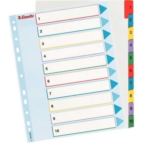 PRZEKŁADKI MYLAR ESSELTE A4 1-10 Esselte PRZEKŁADKI MYLAR ESSELTE A4 1-10 Esselte