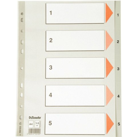PRZEKŁADKI PP ESSELTE A4 1-5 Esselte PRZEKŁADKI PP ESSELTE A4 1-5 Esselte