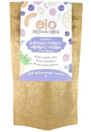 OTO MIX Borówka Morela Ananas Malina w kawałkach 20 g