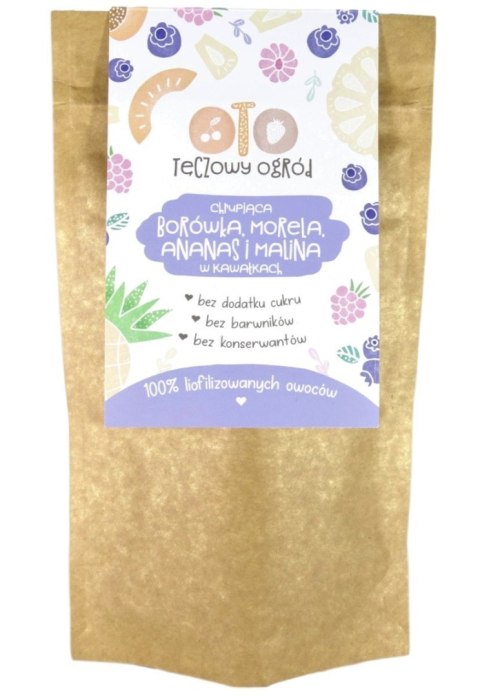 OTO MIX Borówka Morela Ananas Malina w kawałkach 20 g
