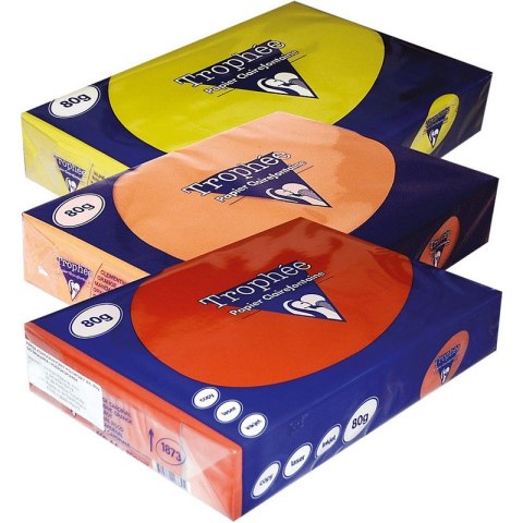 Papier Trophee A4/80g zieleń trawy (500) TROPHEE Papier Trophee A4/80g zieleń trawy (500) TROPHEE