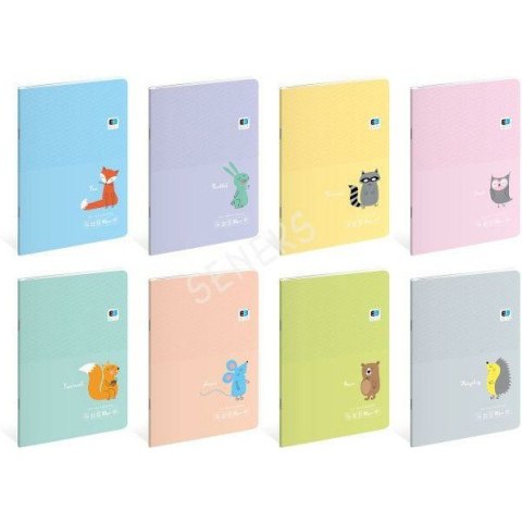 Zeszyt Interdruk B&B Kids Pastel A5/32k 3 linie Interdruk Zeszyt Interdruk B&B Kids Pastel A5/32k 3 linie Interdruk