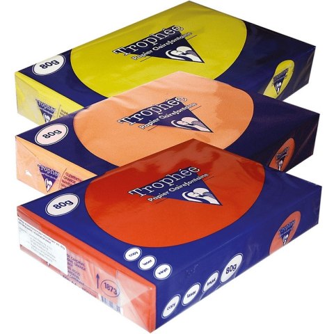 Papier Trophee A4/80g zieleń naturalna (500) TROPHEE Papier Trophee A4/80g zieleń naturalna (500) TROPHEE