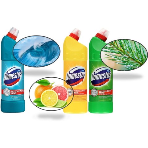 Płyn do WC Domestos 1L Atlantic Domestos Płyn do WC Domestos 1L Atlantic Domestos